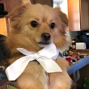 Meet your Posher, Ricki